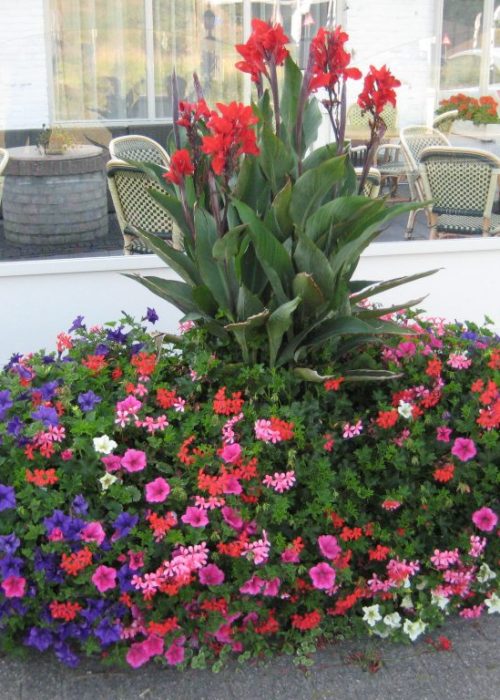 Blumenkästen Typ Zandvoort, 150x55cm mit Sommerbepflanzung