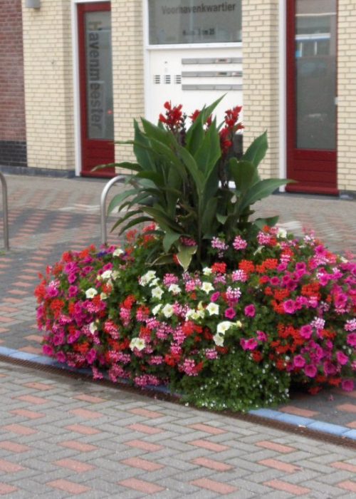 Blumenkästen Typ Zandvoort 150x55cm mit Sommerbepflanzung