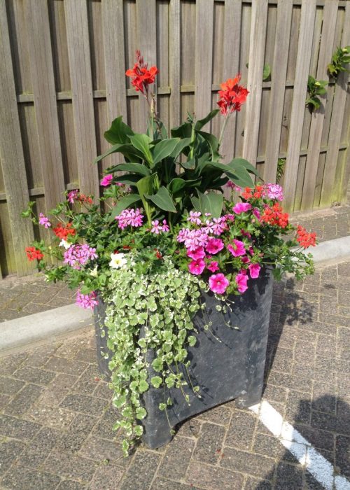 Blumenkästen Typ Zeewolde , 58x58x75cm mit Sommerbepflanzung