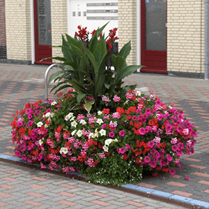 Blumenkästen Typ Voorburg